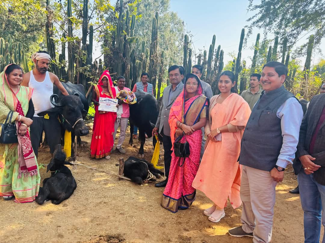 विशेष पिछड़ी जन जाति बैगा हितग्राहियों को जिला पंचायत अध्यक्ष एवं कलेक्टर की उपस्थिति में मुख्यमंत्री दुधारू पशु प्रदाय योजना के तहत भैंसों का किया गया वितरण